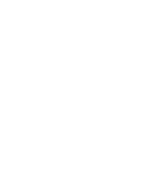 Chinchilla Bar