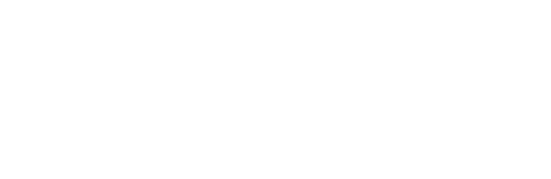VAL Group